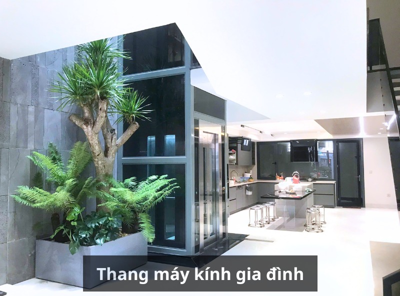 Thang máy kính gia đình