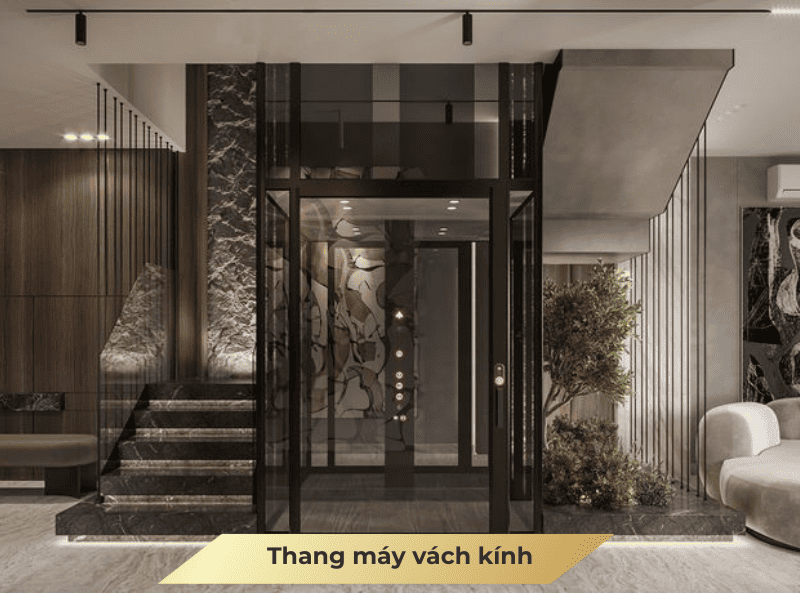Thang máy vách kính