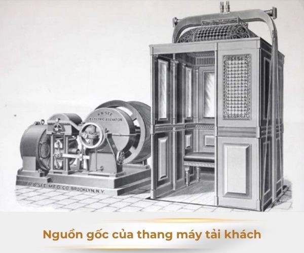Lịch sự của thang máy tải khách