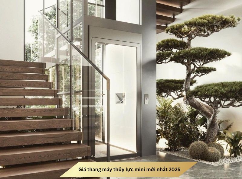 Giá thang máy thủy lực mini