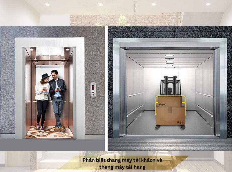 Phân biệt thang máy tải khách và thang máy tải hàng