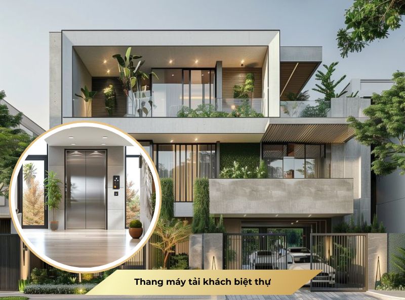 Thang máy tải khách biệt thự