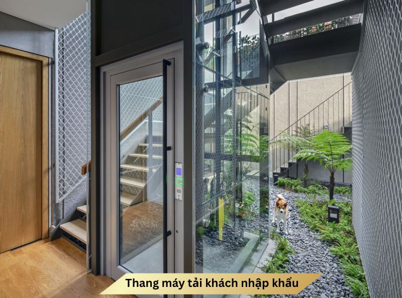 Thang máy tải khách nhập khẩu