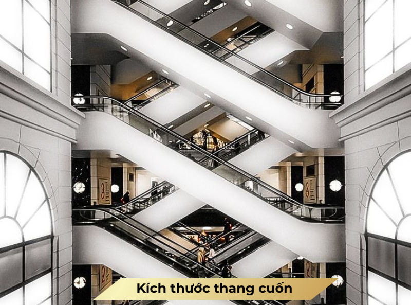 Kích thước thang cuốn