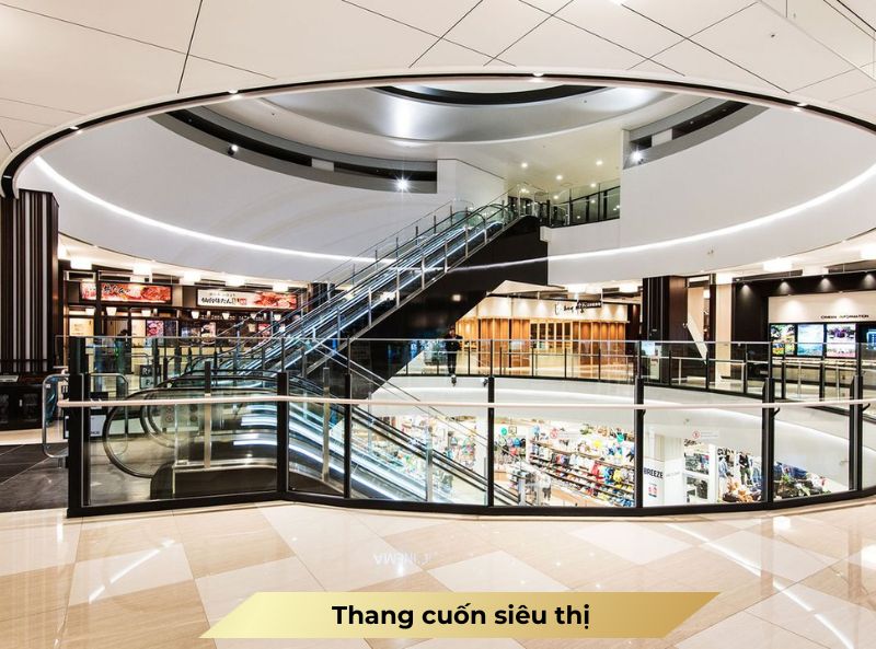 thang cuốn trong siêu thị